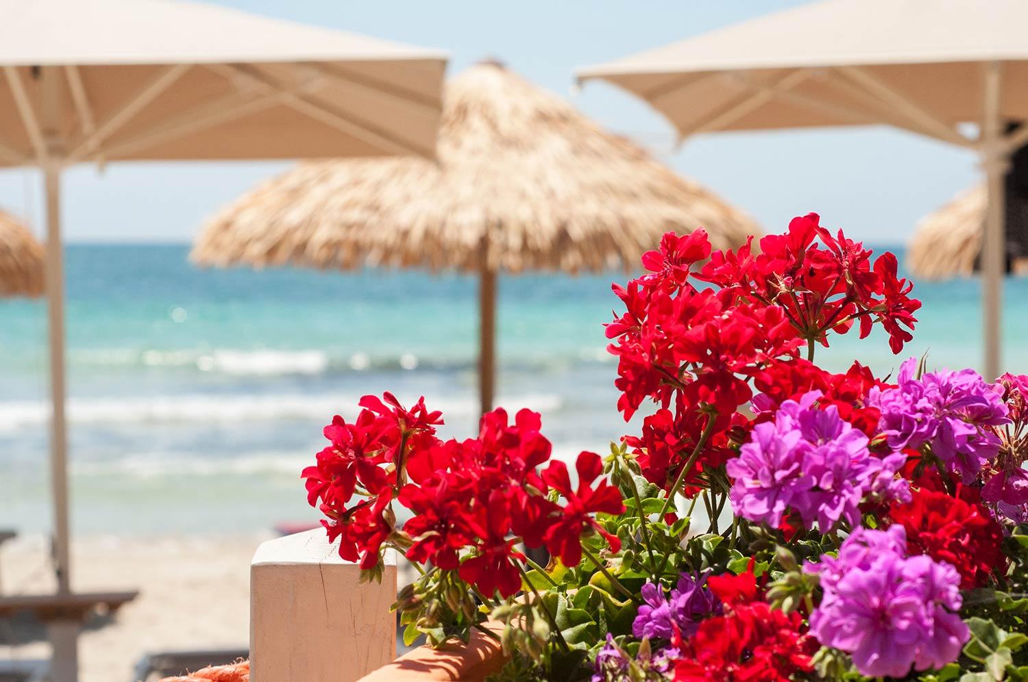 Conchiglia Azzurra Resort & Beach Порто-Чезарео Екстер'єр фото